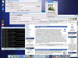 Screenshot on Linux